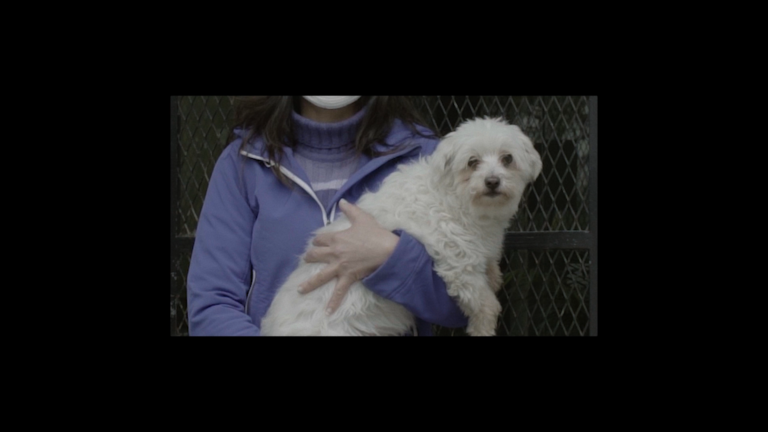 Screenshot 2025-01-28 at 12.31.21